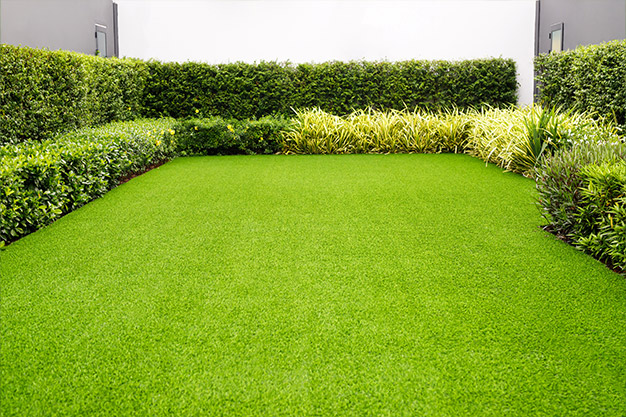 Grass Field Meadow Garden